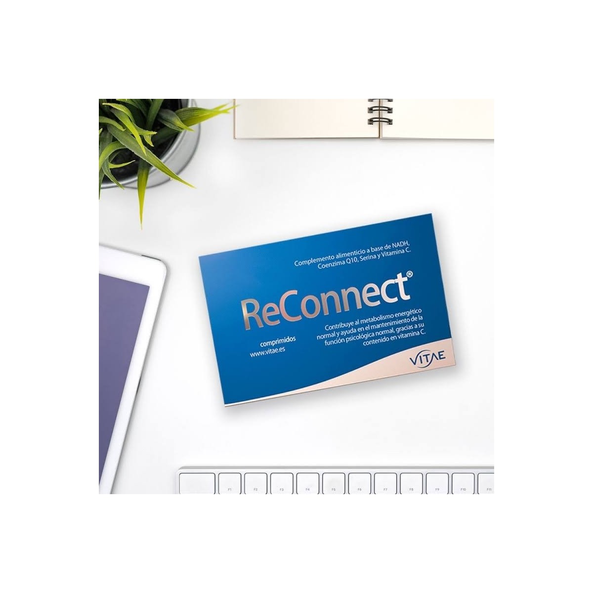 reconnect 15 comprimidos vitae